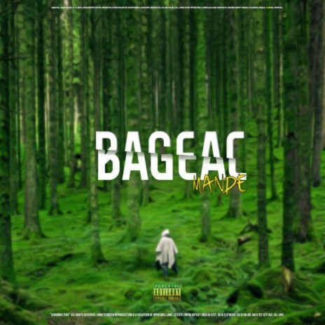 Bageac / Viitorul