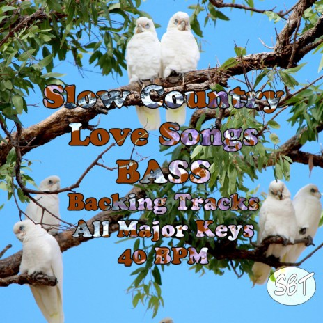 Slow Country Music Love Song BASS Backing Track in Bb Major 40 BPM