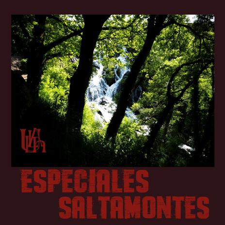 ESPECIALES SALTAMONTES | Boomplay Music