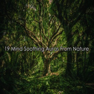 19 Mind Soothing Auras From Nature