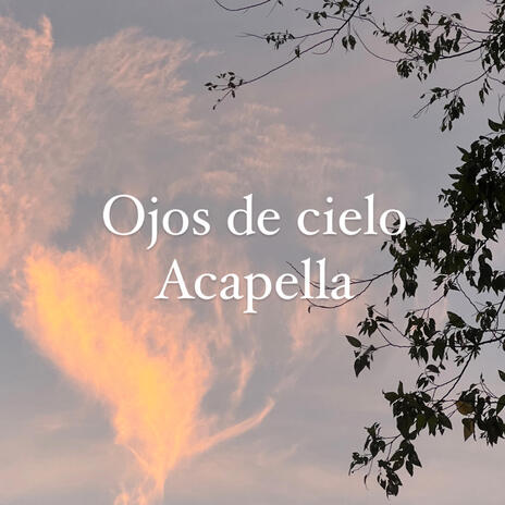 Ojos de cielo (Acapella) | Boomplay Music