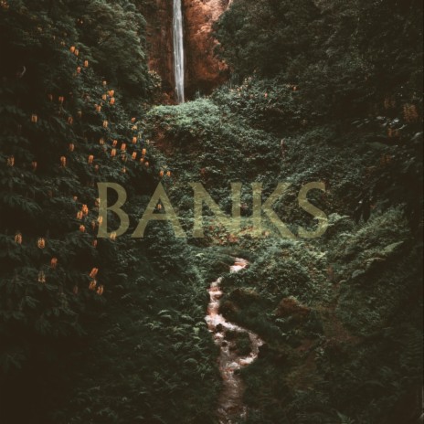 Banks | Boomplay Music