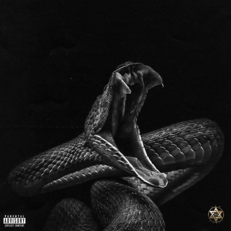 Snakes | Boomplay Music