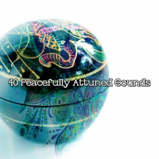 40 Peacefully Attuned Sounds