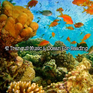 42 Musique tranquille et océan pour la lecture