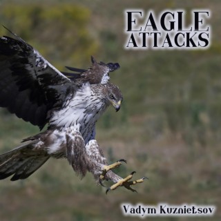 Eagle Attacks