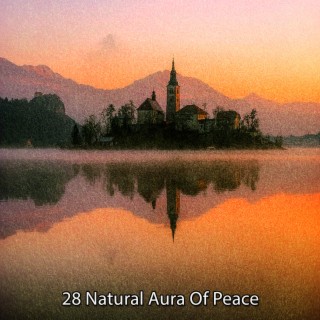 28 Natural Aura Of Peace