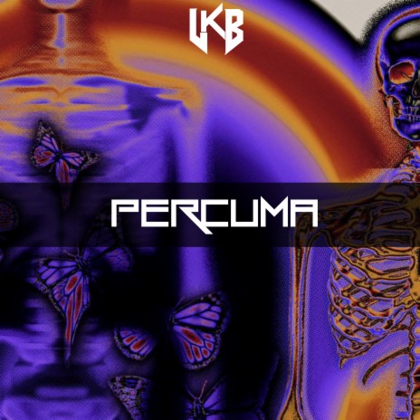 Percuma | Boomplay Music