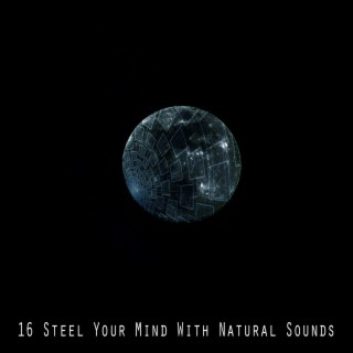 16 Steel Your Mind With Natural Sounds