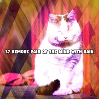 37 Supprimer la douleur de l'esprit avec la pluie