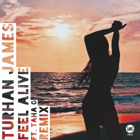 Feel Alive (Turhan James & Sidd VIP Remix) ft. Sidd & Taha G | Boomplay Music