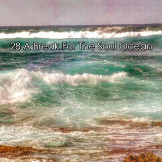 28 A Break For The Soul Ocean