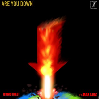 Are You Down ft. Max Luiz lyrics | Boomplay Music