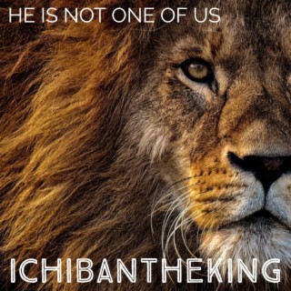 IchiBaNtheKinG