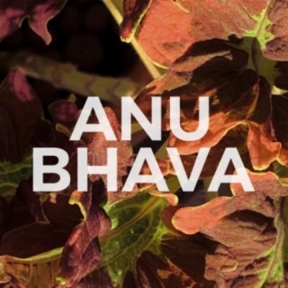 Bhava