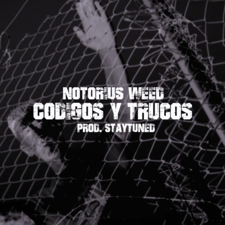 Codigos y Trucos ft. Staytuned