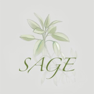 Sage