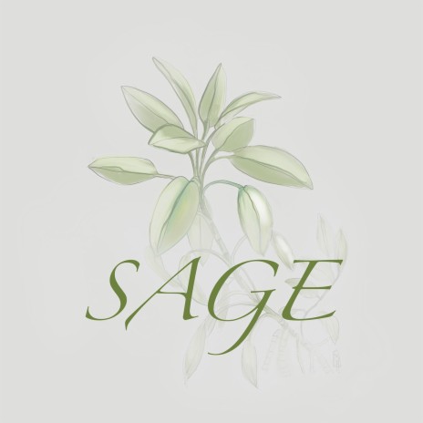 Sage