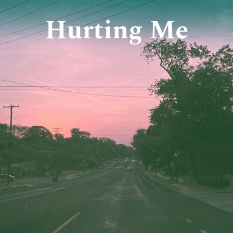 Hurting Me | Boomplay Music