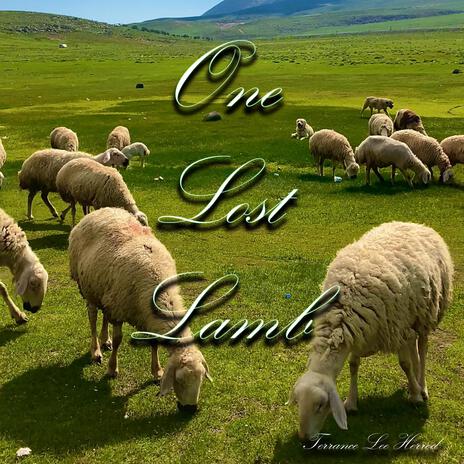 One Lost Lamb | Boomplay Music