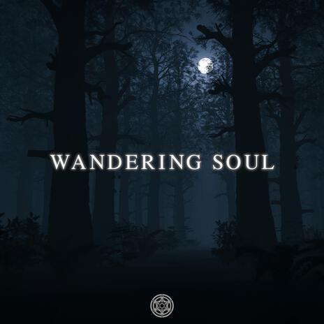 Wandering Soul | Boomplay Music