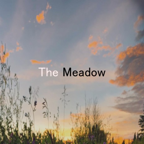 The Meadow | Boomplay Music