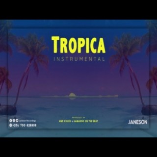 Tropica | Afrobeat X Rema X Tiwa Savage X Terri X Afrodance Type Beat