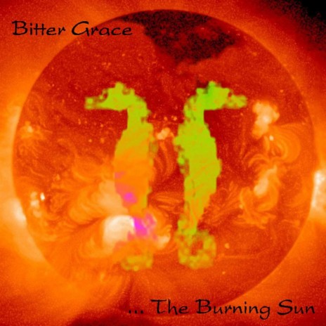 The Burning Sun | Boomplay Music