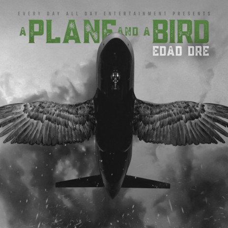 A Plane and a Bird