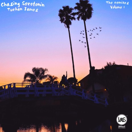 Chasing Serotonin (Talal Qureshi Remix) ft. Talal Qureshi | Boomplay Music