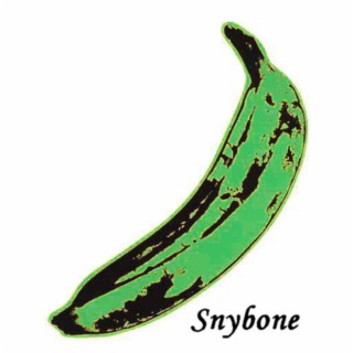 Snybone