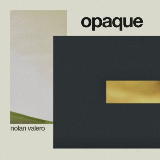 opaque