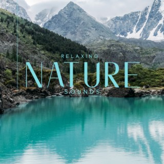 Relaxing Nature Sounds: Shooting Music to Help you Sleep, Stay Relaxed and Keep Thinking Positively