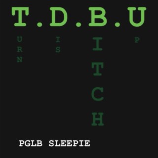 T.D.B.U. (Turn dis bitch up)