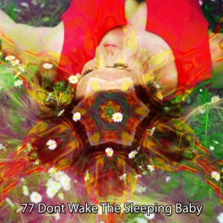 77 Dont Wake The Sleeping Baby