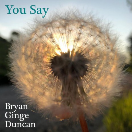 You Say | Boomplay Music