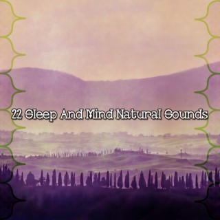 22 Sleep And Mind Natural Sounds