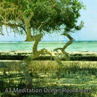43 Meditation Ocean Reclaimers