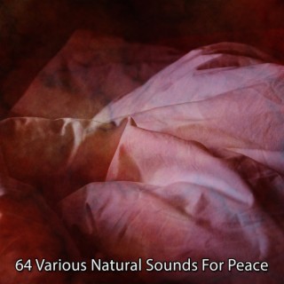64 Divers sons naturels pour la paix