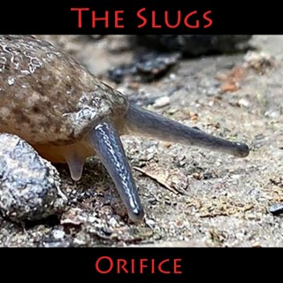 The Slugs (Orifice)