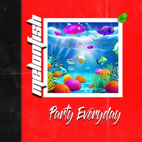 Party Everyday | Boomplay Music