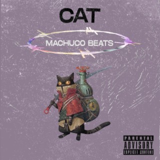 Cat Reggaeton Beat