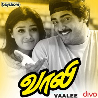 Vaali (Original Motion Picture Soundtrack)