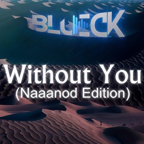 Without You (Naaanod Edition) | Boomplay Music