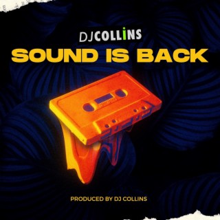 Sound is Back (edit)