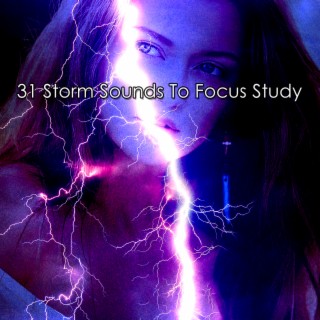 31 Bruits de tempête pour cibler l'étude