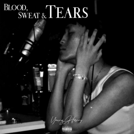 Blood Sweat & Tears | Boomplay Music