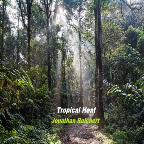 Tropical Heat | Boomplay Music