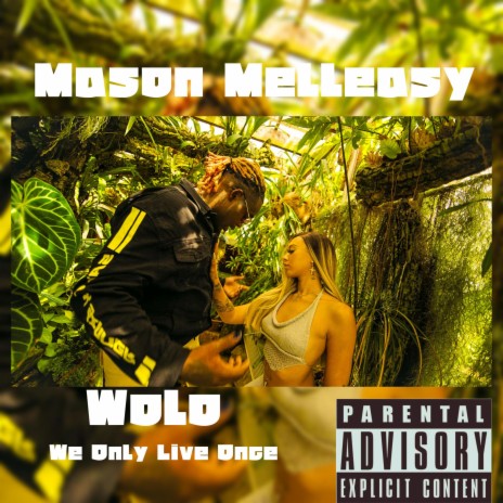 MasonMelleasy -wolo (weonlyliveonce) | Boomplay Music