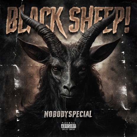 Black Sheep! | Boomplay Music